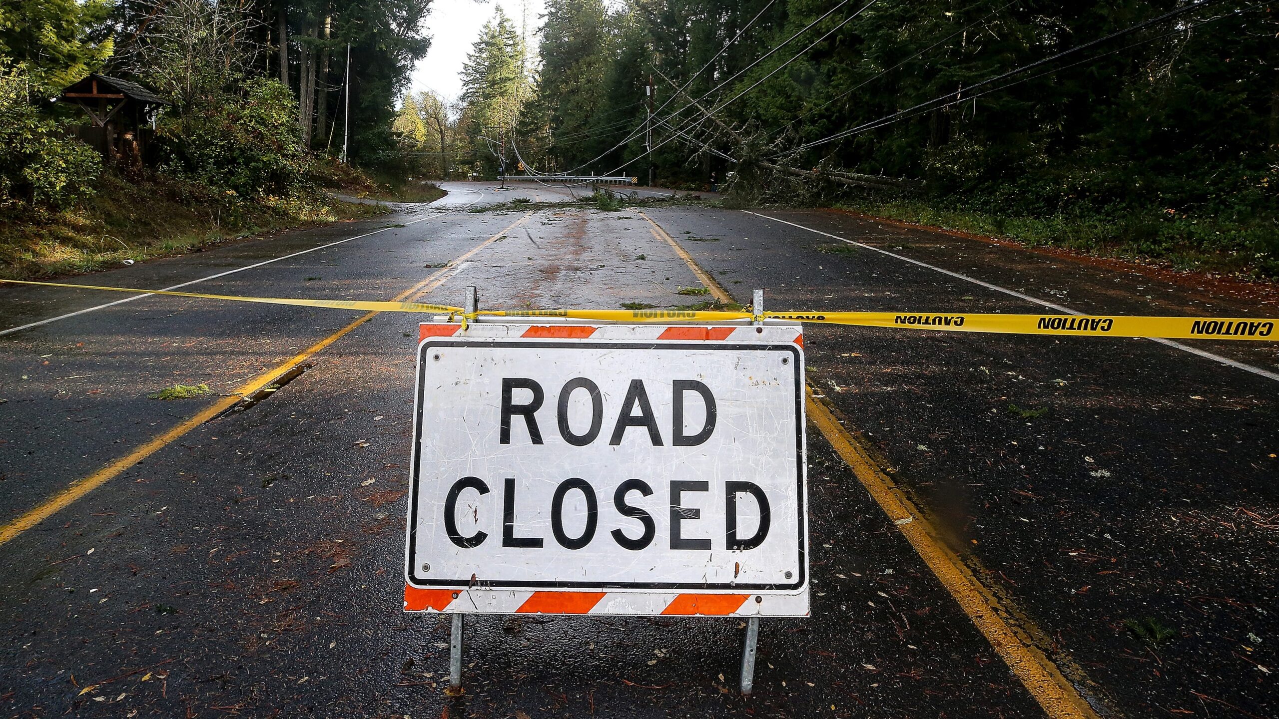 Powerful wind storm hammers Kitsap, Western Washington