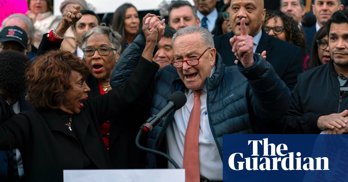 Democrats join protest against Musk’s ‘hostile takeover’ of federal payment systems | US politics